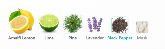 Penhaligons Blenheim Bouquet